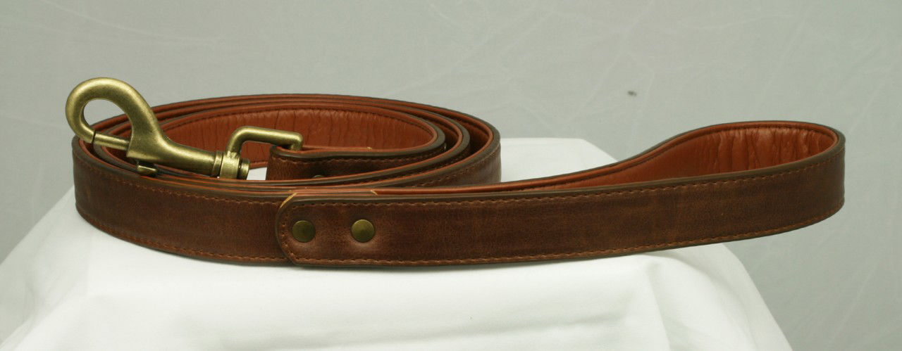 Picture of Metro Metal Matching Leash.