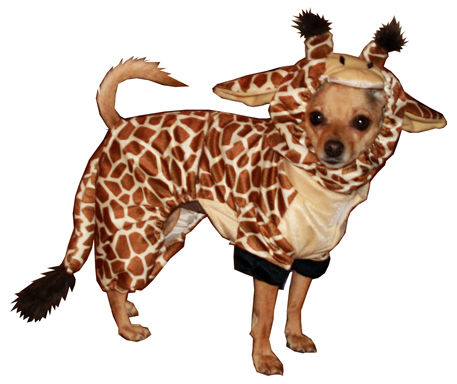 Picture of Giraffe Costume