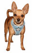 Picture of Super Star Mesh Harness Vest - Blue.