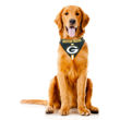 Picture of NFL Bandana - PACKERS