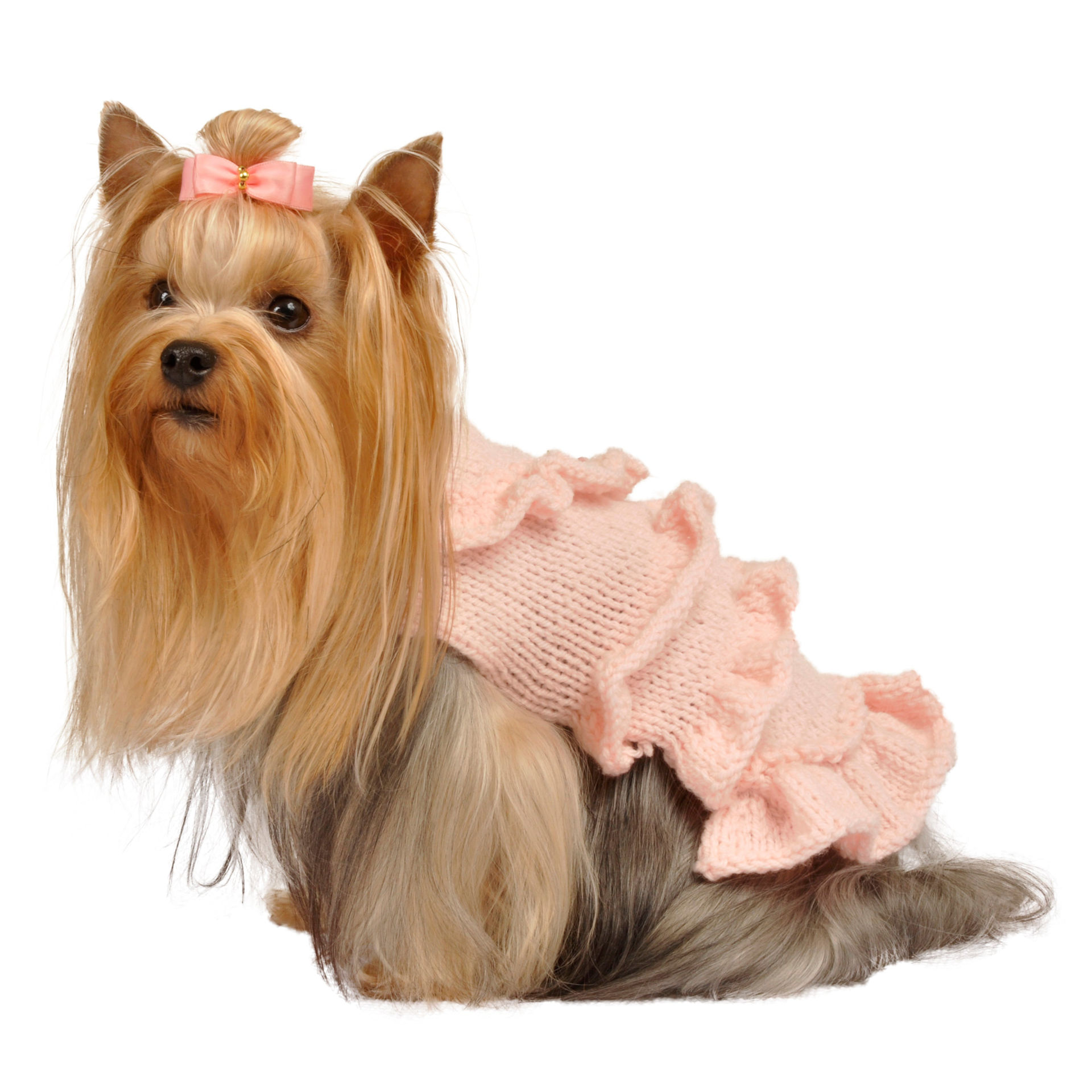 Picture of Ruffle Rosette Sweater