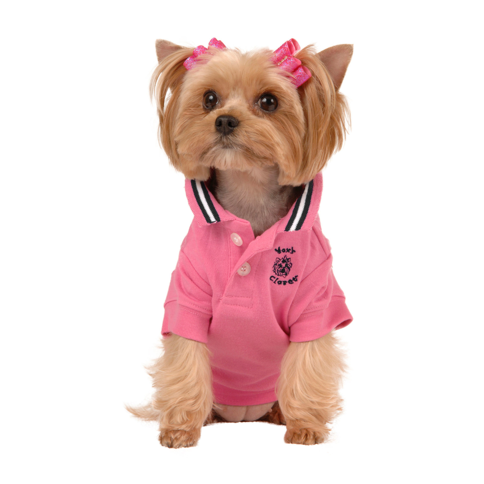 Picture of Hot Pink Polo Shirt