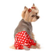 Picture of Red Polka Dot Fancy Pant