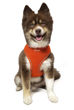 Picture of Ultra Comfort Reflective Harness - Orange
