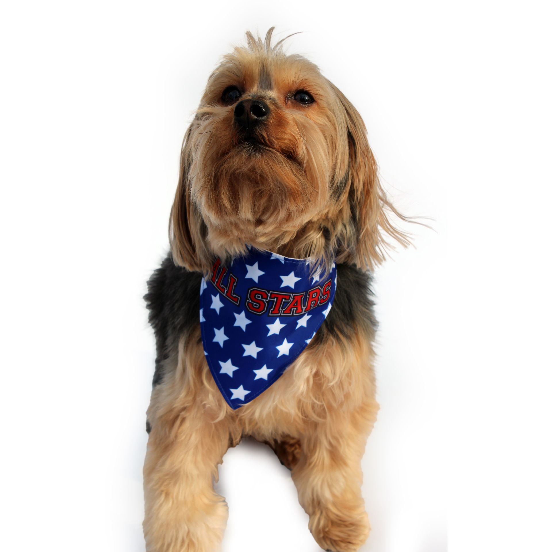 Picture of Two Sided Bandana - USA