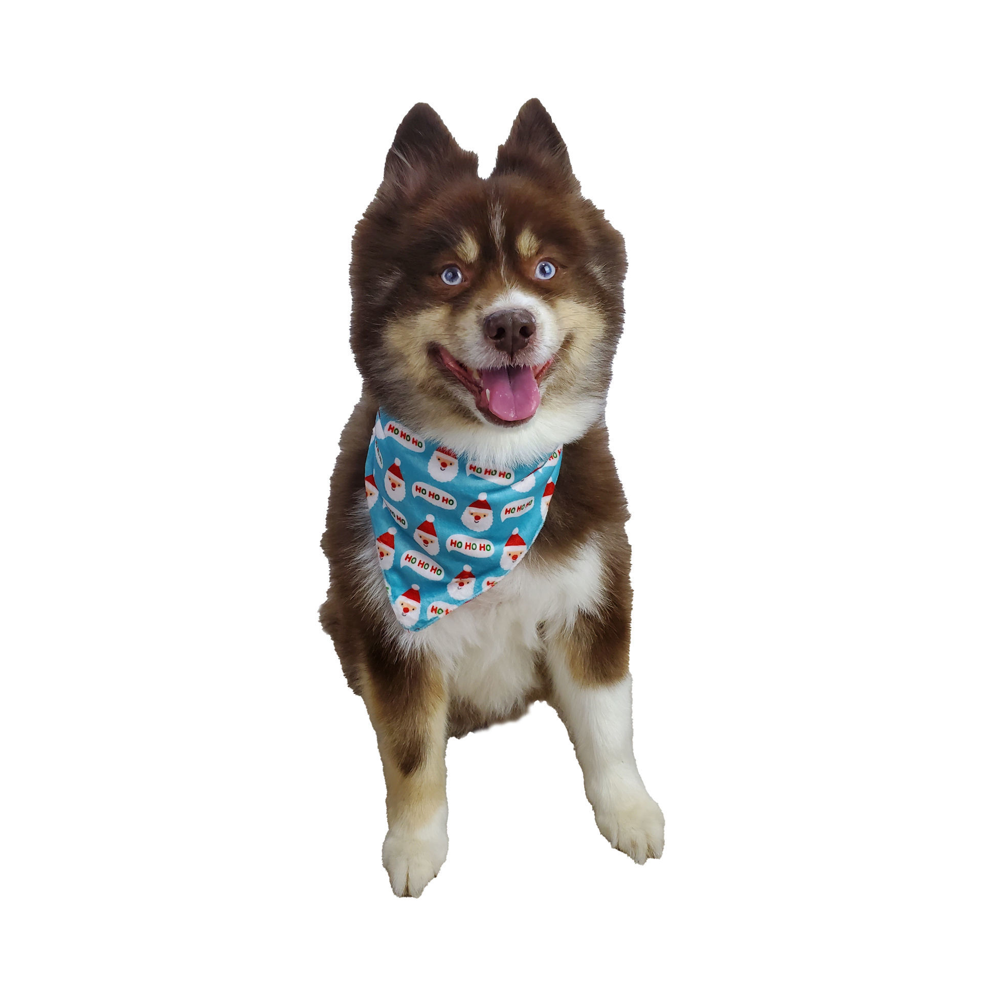 Picture of Two Sided Bandana – Santa