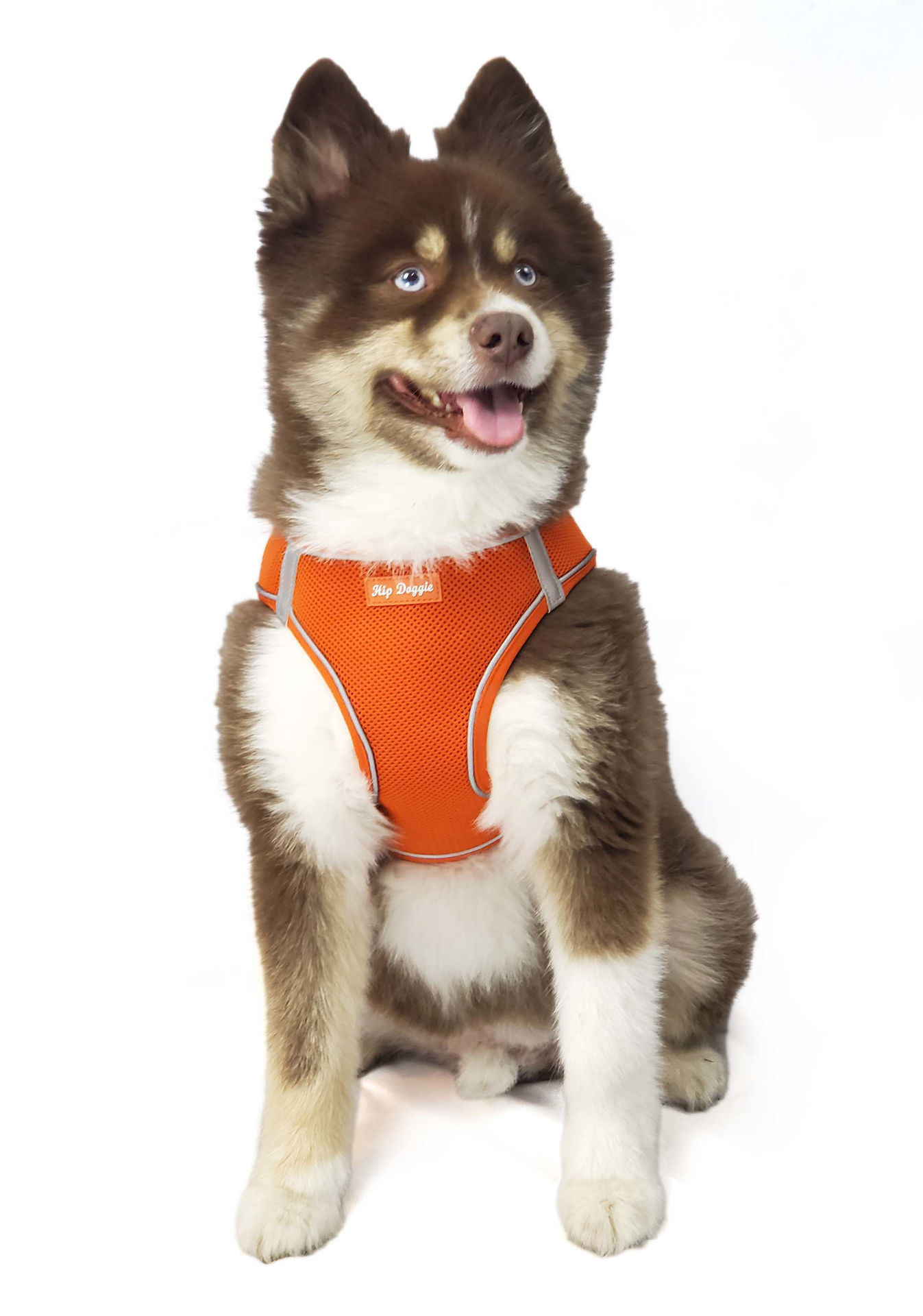 Picture of EZ Step-In Harness Vest - Orange - Old Header