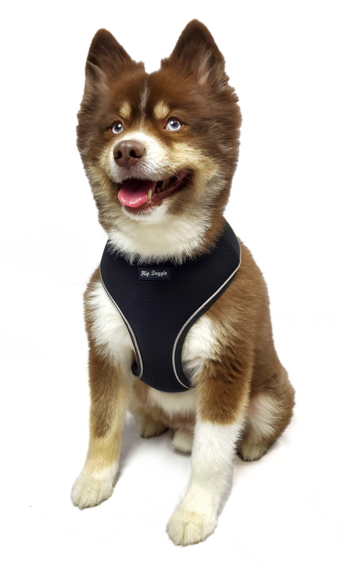 Picture of Ultra Comfort Reflective Harness Black - Old Header