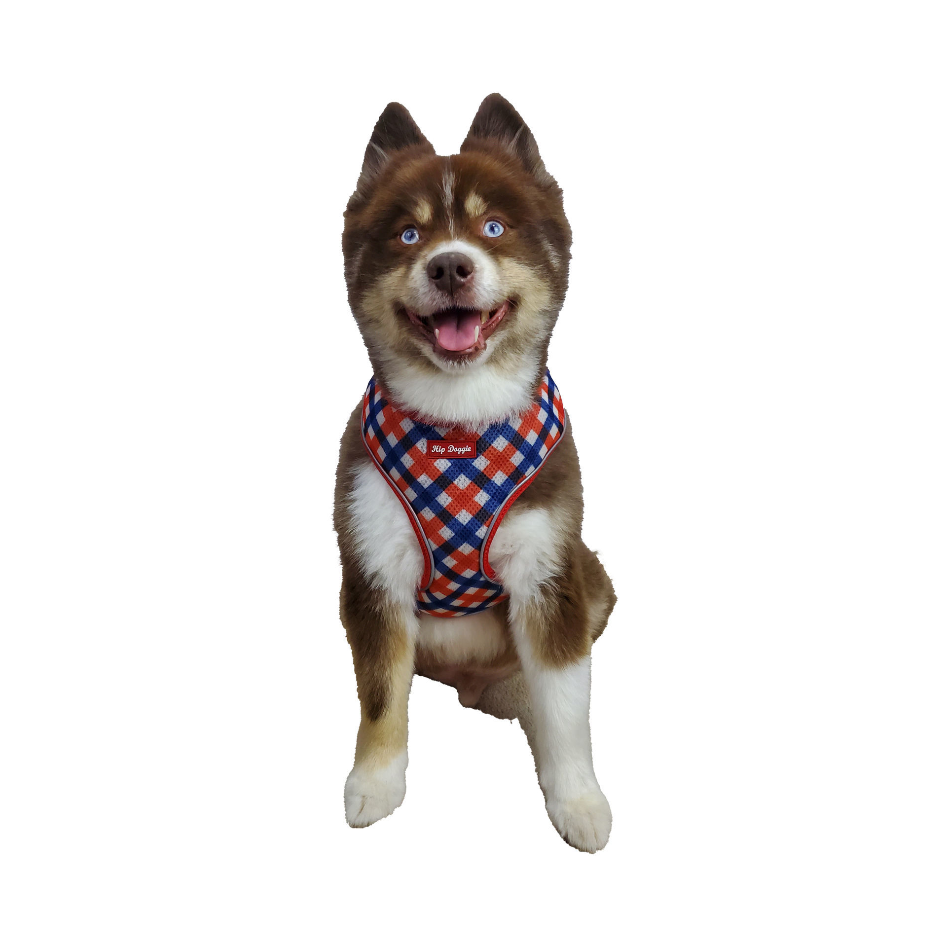 Picture of Ultra Comfort Harness - Red/Navy Check