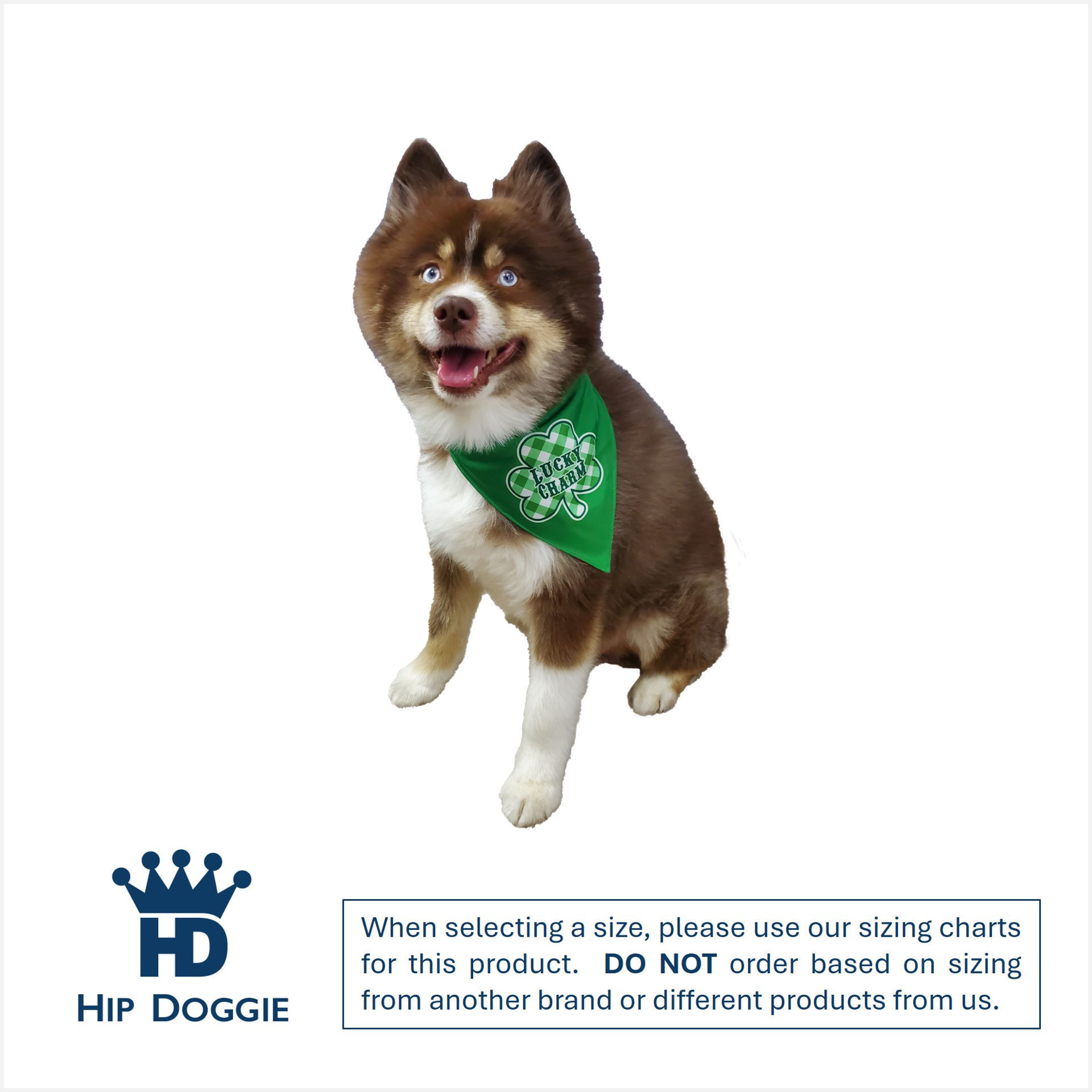 Picture of Two Sided Bandana - Shamrock