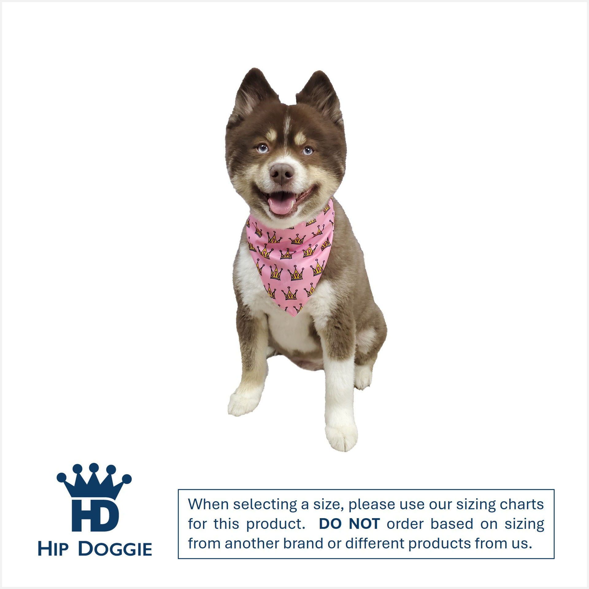 Picture of Two Sided Bandana - Birthday Girl