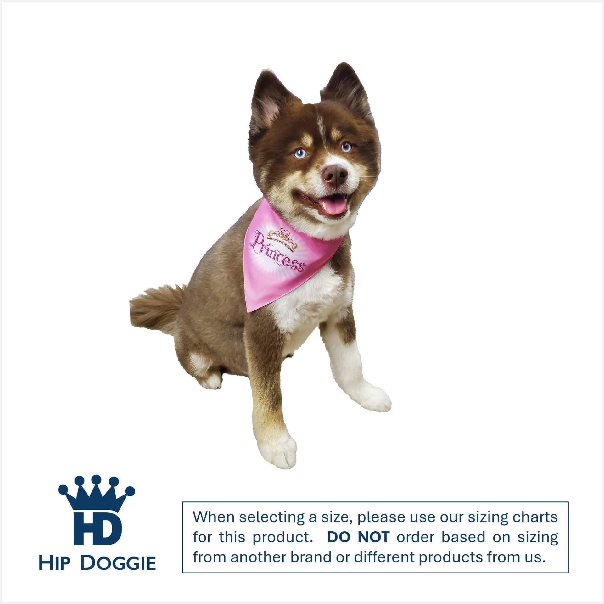 Picture of Two Sided Bandana - Princess Bandana