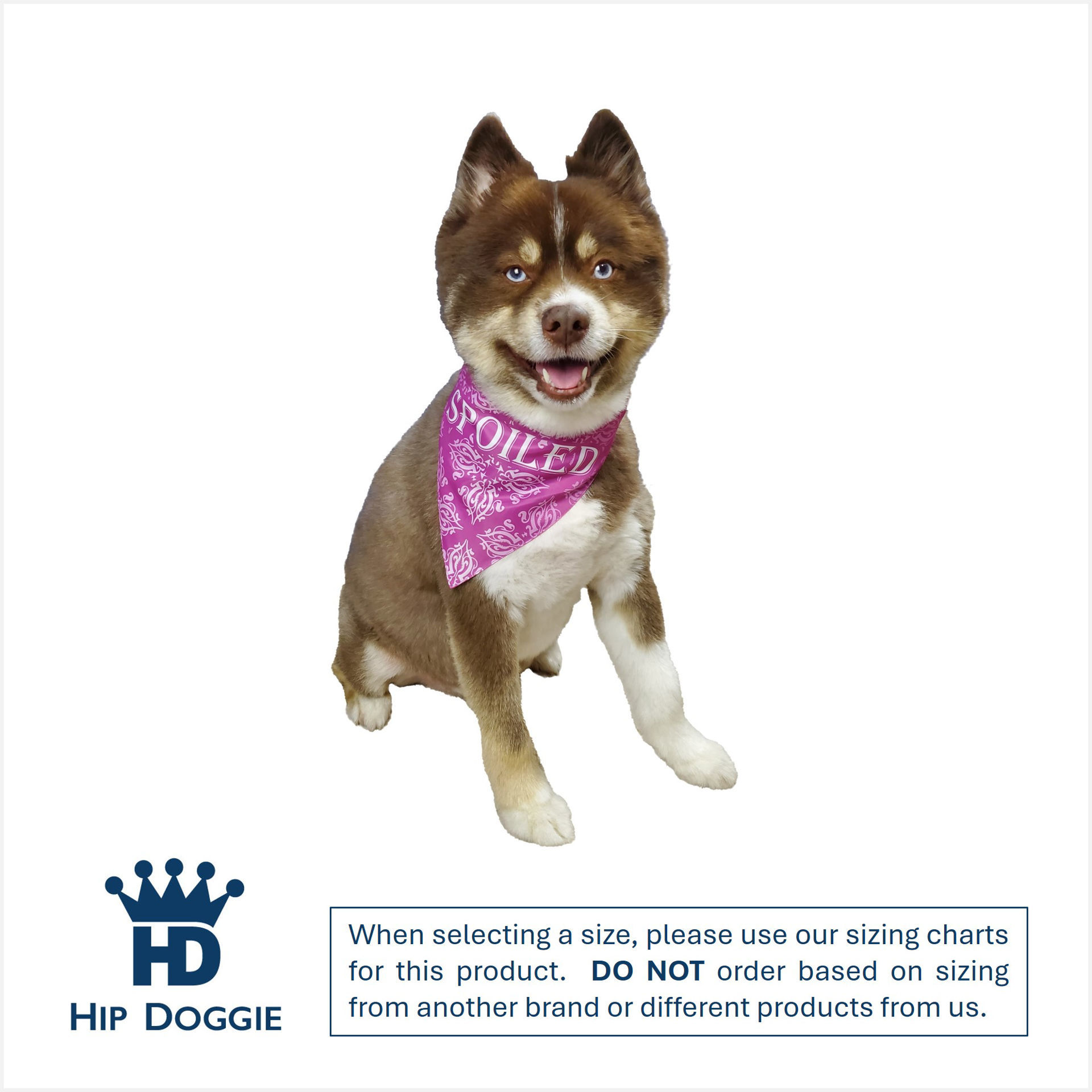Picture of Two Sided Bandana - Princess Bandana